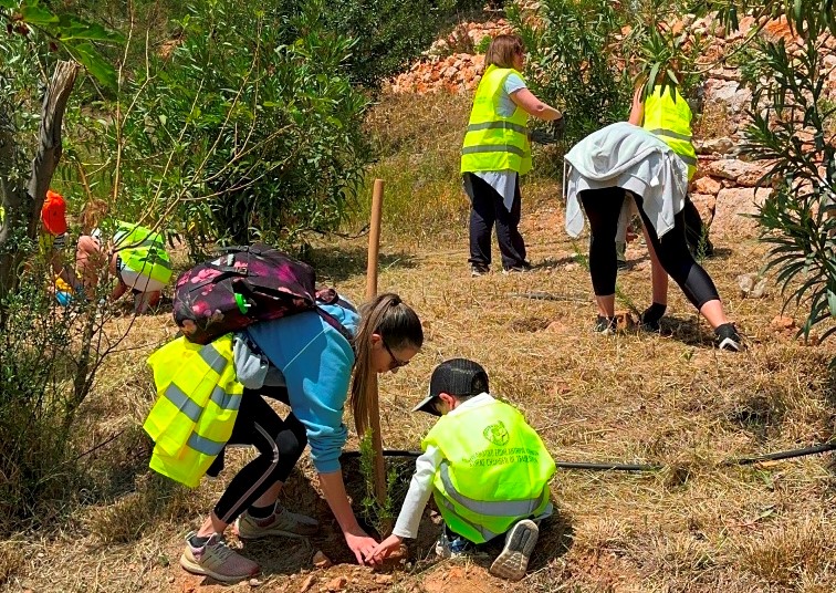 Εθελοντική δράση δενδροφύτευσης στο Χαϊδάρι 