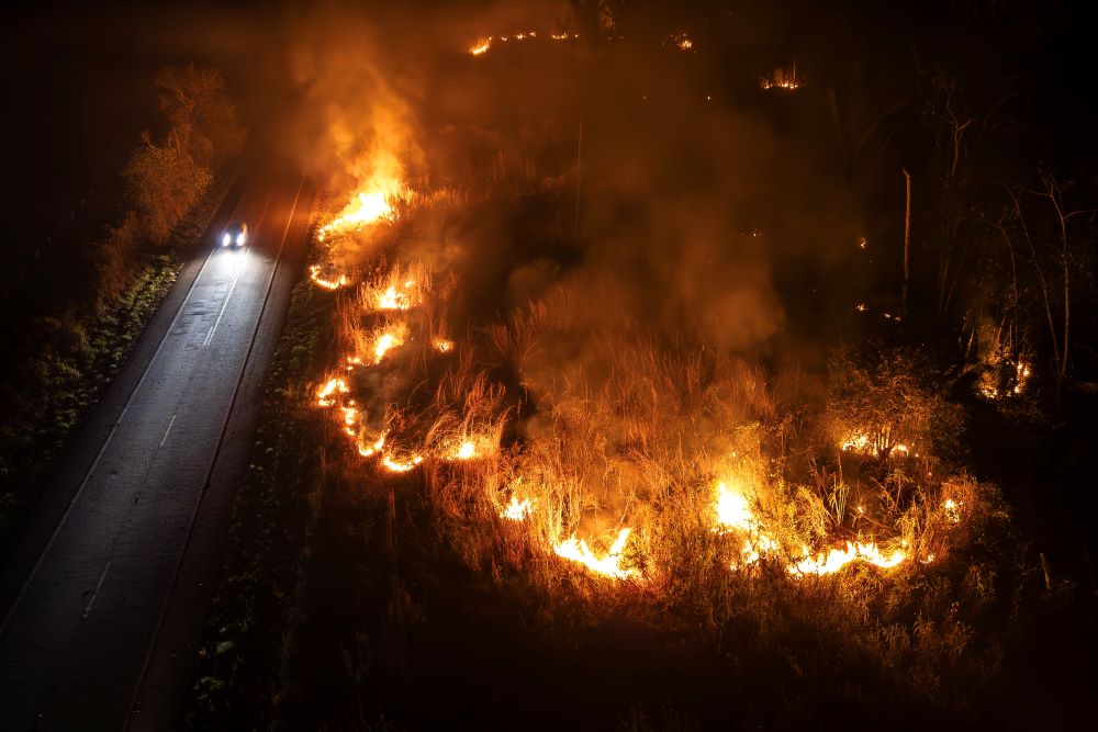 Στις φλόγες το εθνικό πάρκο στη Βραζιλία- Στάχτη 12.000 στρέμματα δάσους 