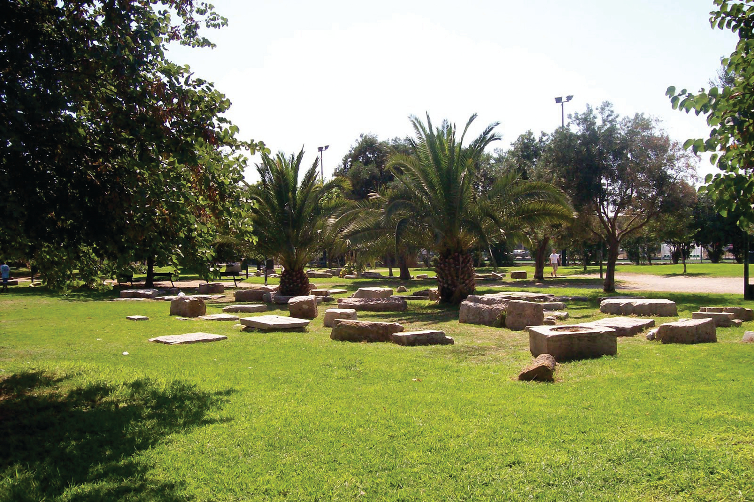 Ακαδημία Πλάτωνος, "Πρωτοβουλία Αγώνα για το Πάρκο της Ακαδημίας Πλάτωνα", τσιμεντοποίηση πάρκου