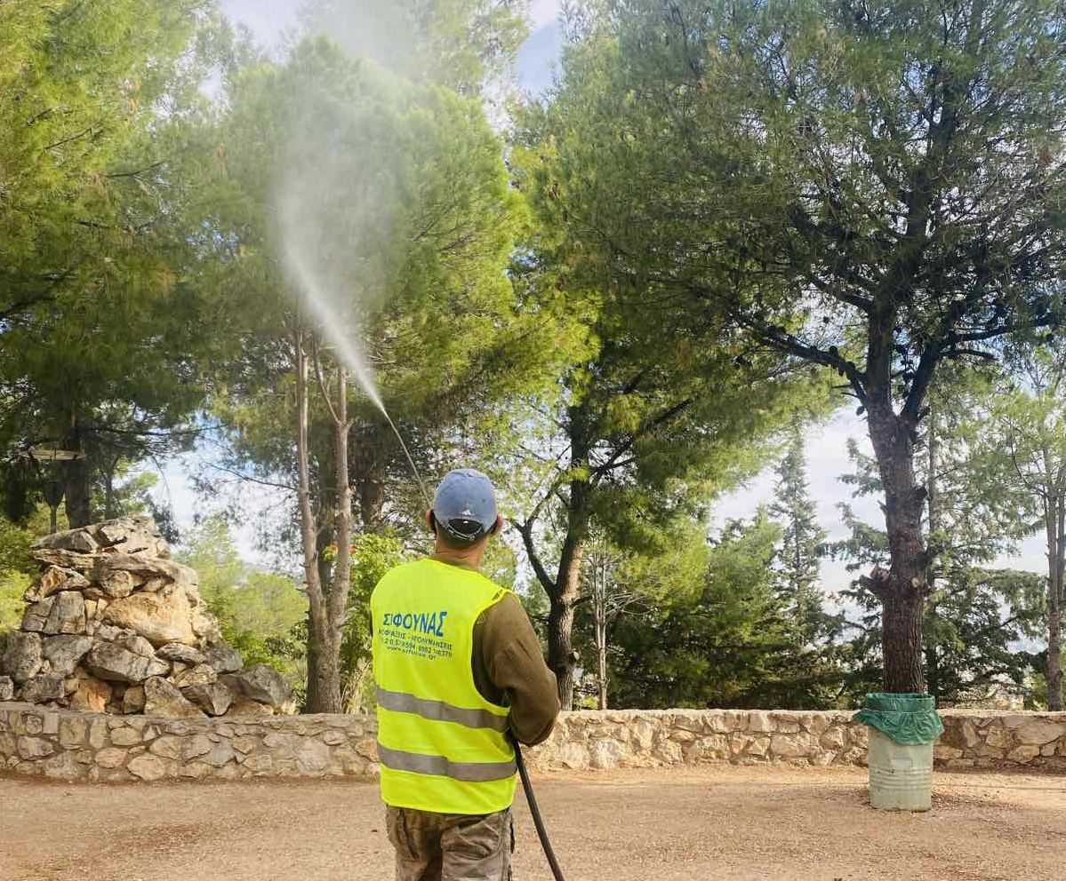 Ολοκληρώθηκαν οι ψεκασμοί για τη κάμπια των πεύκων