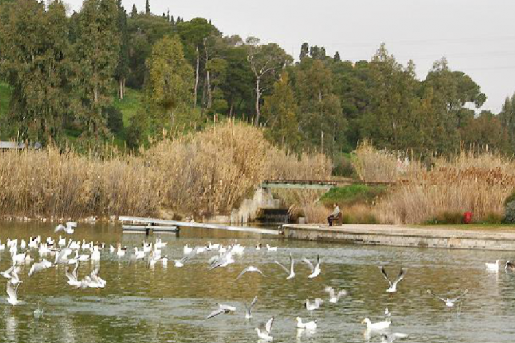  Πάρκο Αντώνης Τρίτσης, Πάσχα 